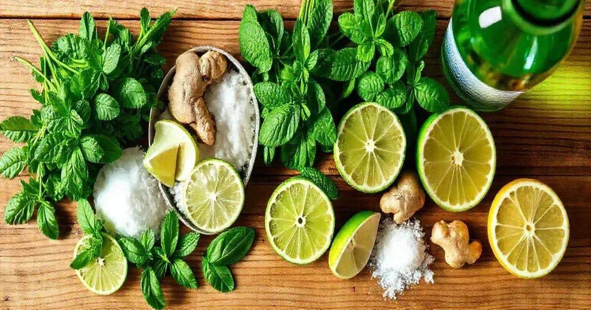 Zutaten für den Mojito mit grünem Apfelsoda