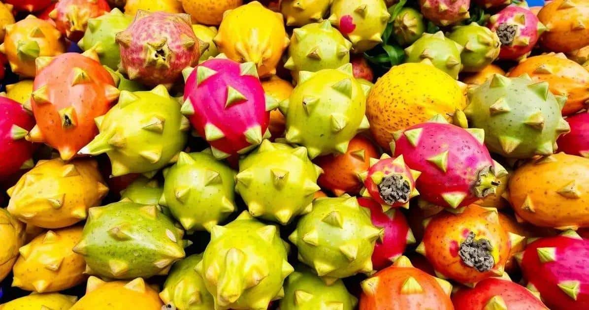 How to Choose the Best Dragon Fruit