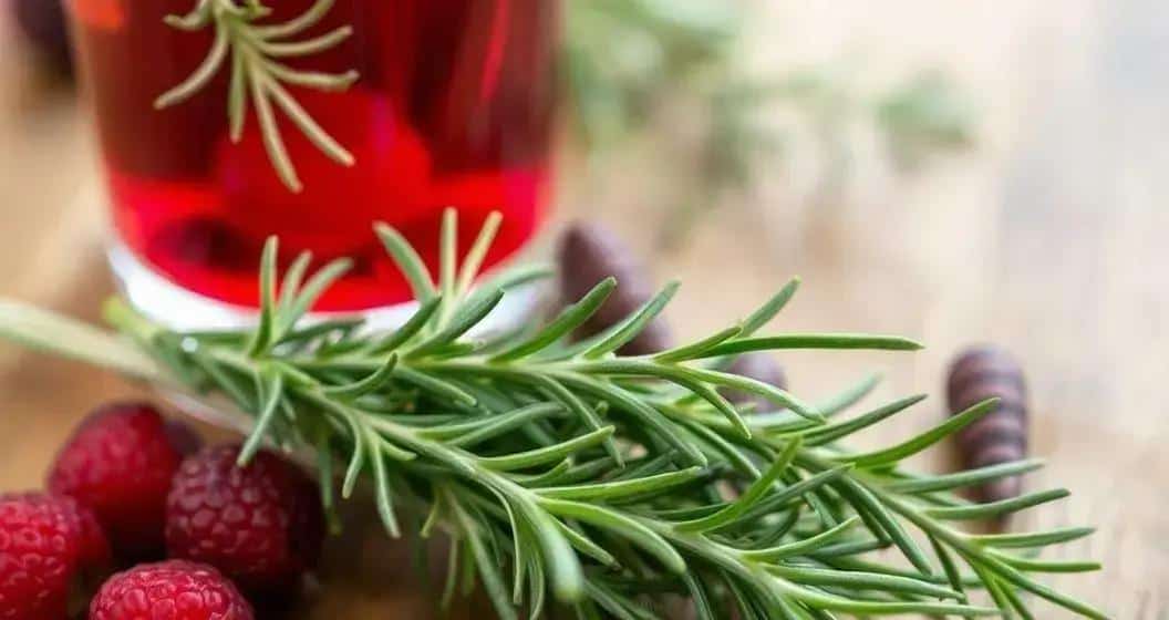 Enhancing Flavor: Tips for Infusing Rosemary Enhancing Flavor: Tips for Infusing Rosemary