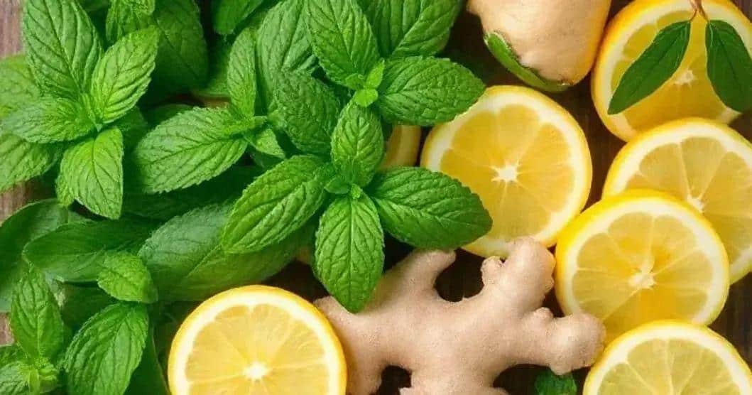 Health Benefits of Mint and Ginger in Lemon Soda