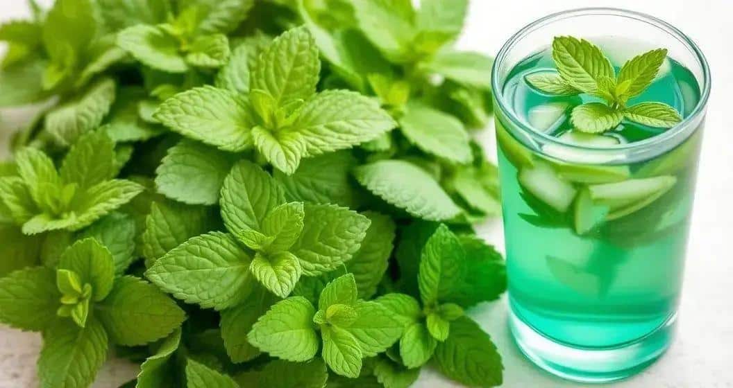 Health Benefits of Mint Syrup in Drinks