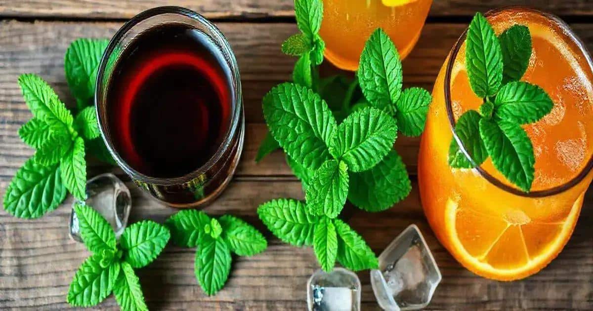 Recipe Ingredients for Coffee with Orange Soda and Mint