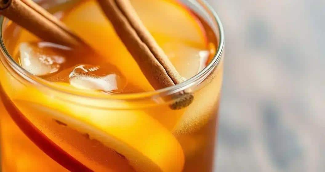 Recipe Ingredients for Cognac with Apple Soda and Cinnamon