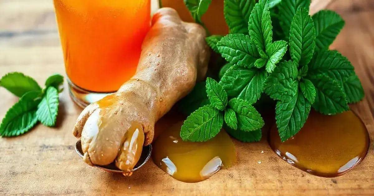 Recipe Ingredients for Energy Drink with Orange Soda and Ginger