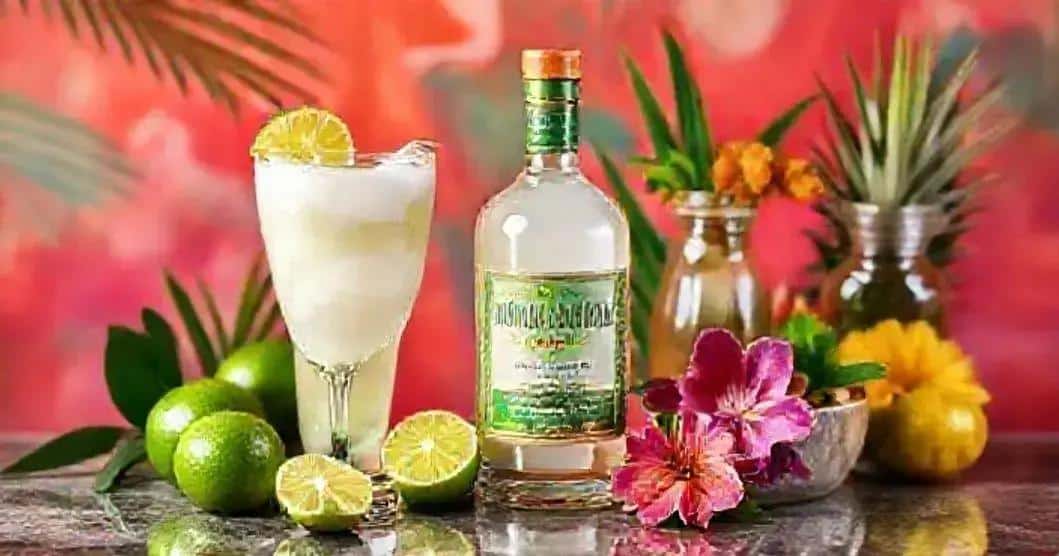 Recipe Ingredients for Marula Liqueur with Coconut Cream
