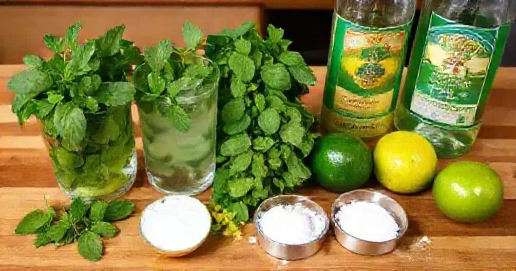 Recipe Ingredients for Mojito with Green Apple Soda
