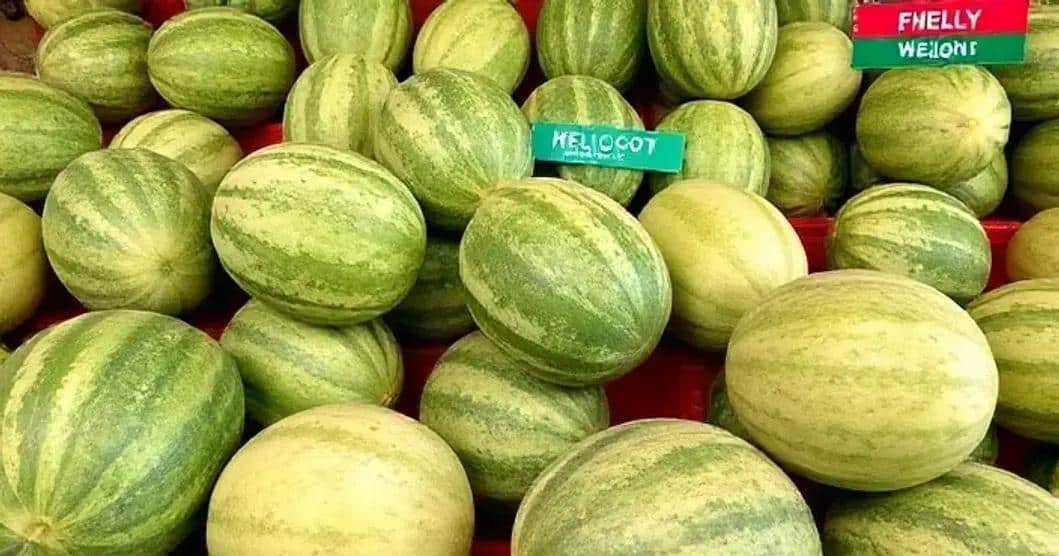Tips for Choosing the Right Watermelon
