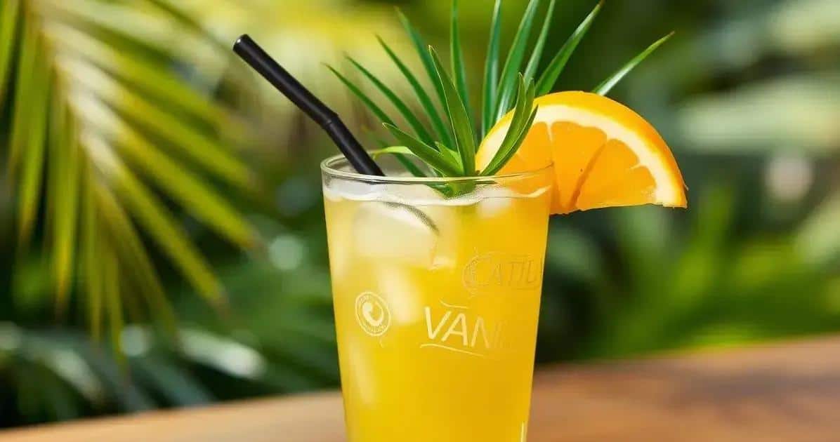 Cómo Preparar la Bebida Vanilia Palm: ¡Una Bebida Perfecta y Sabrosa!