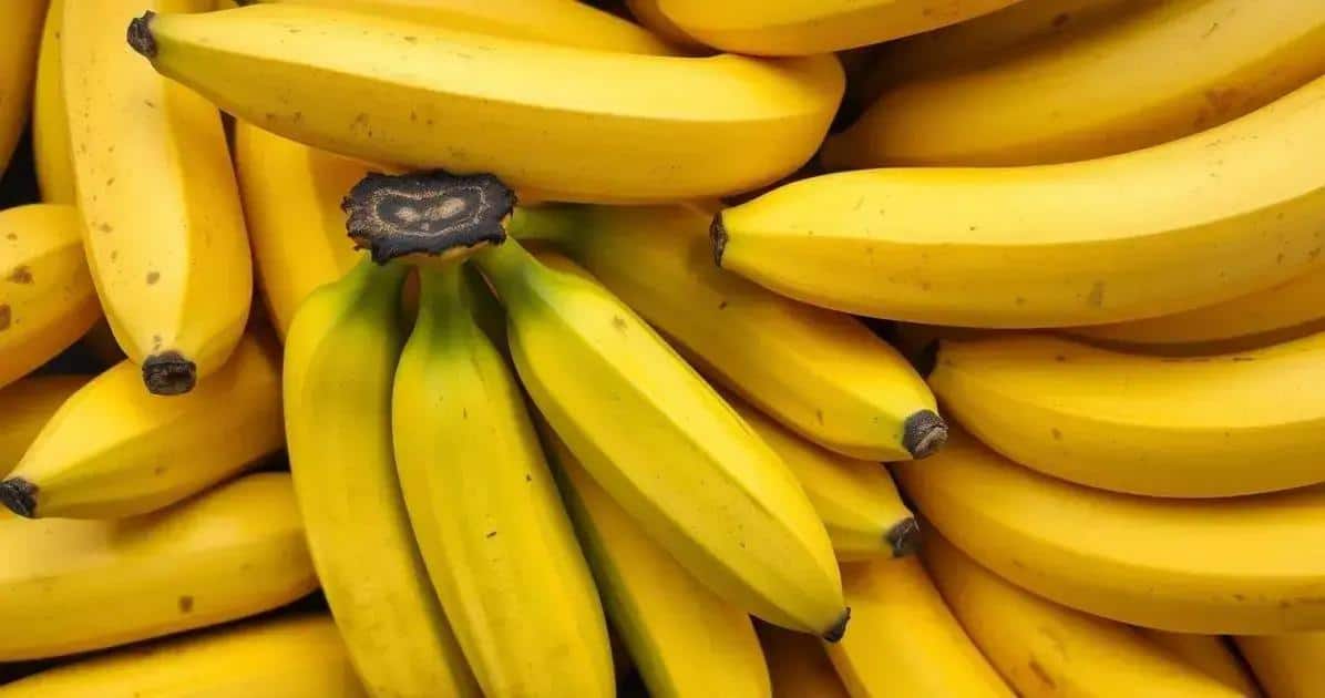 Consejos para elegir el plátano perfecto