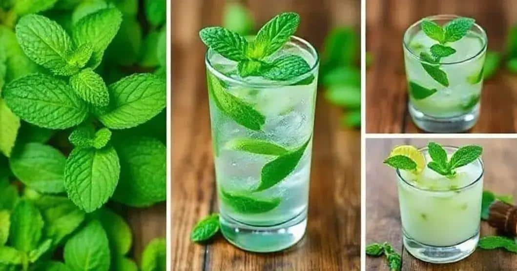 Beneficios de la Menta en las Bebidas