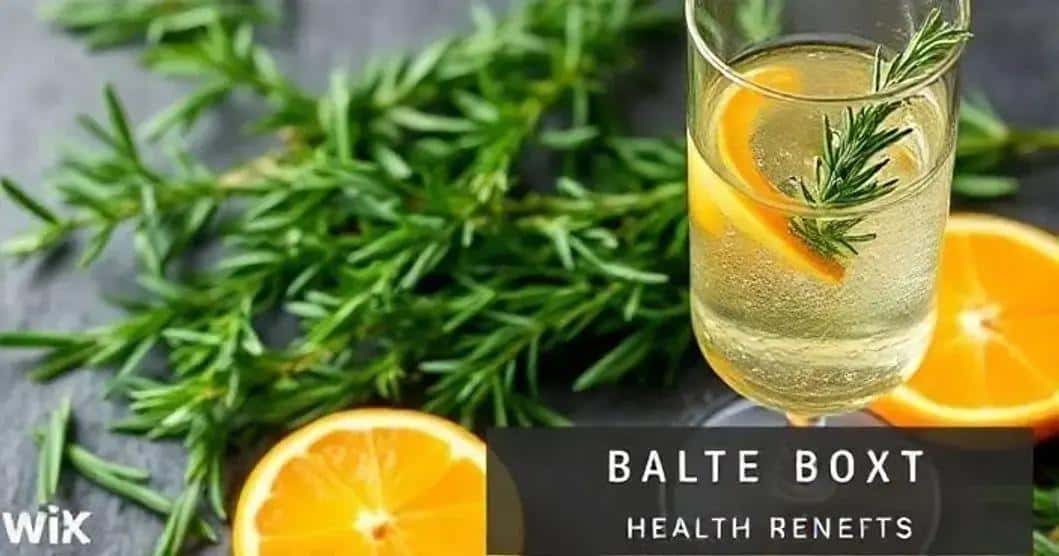 Beneficios del romero en las infusiones