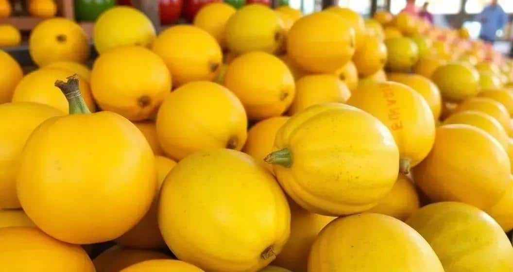 Consejos para escoger el mejor cajá