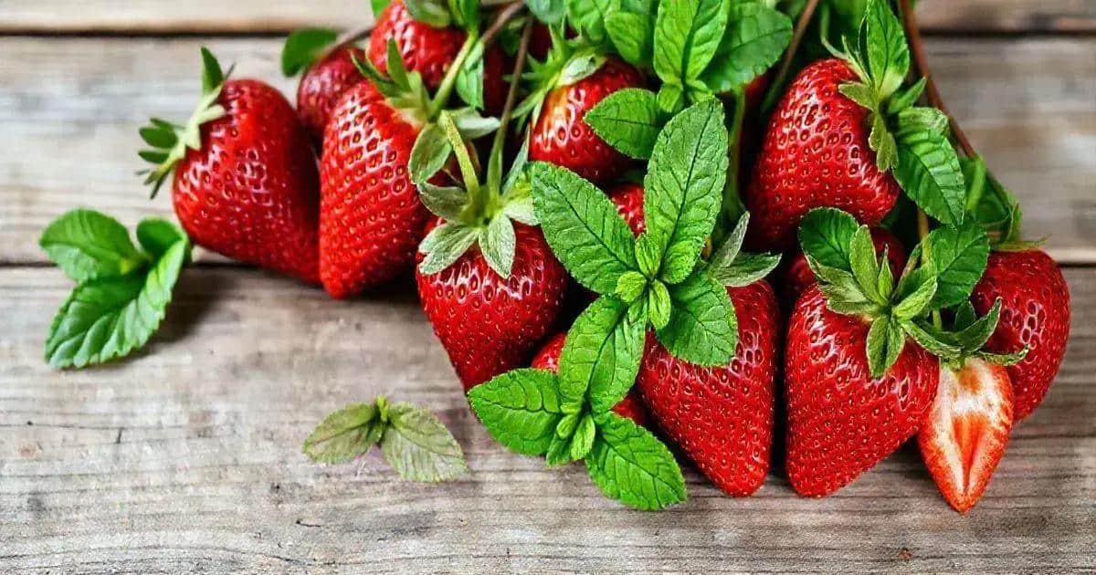 Curiosidades sobre la Fresa y la Menta