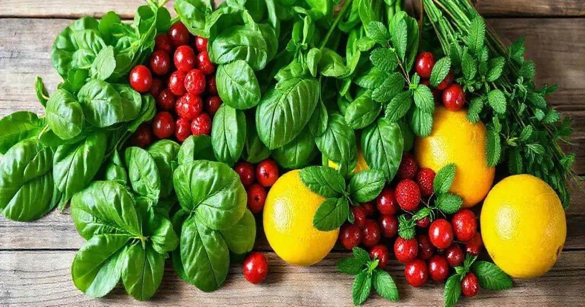 Ingredientes para la bebida verde con soda de limón y espuma de frutas rojas