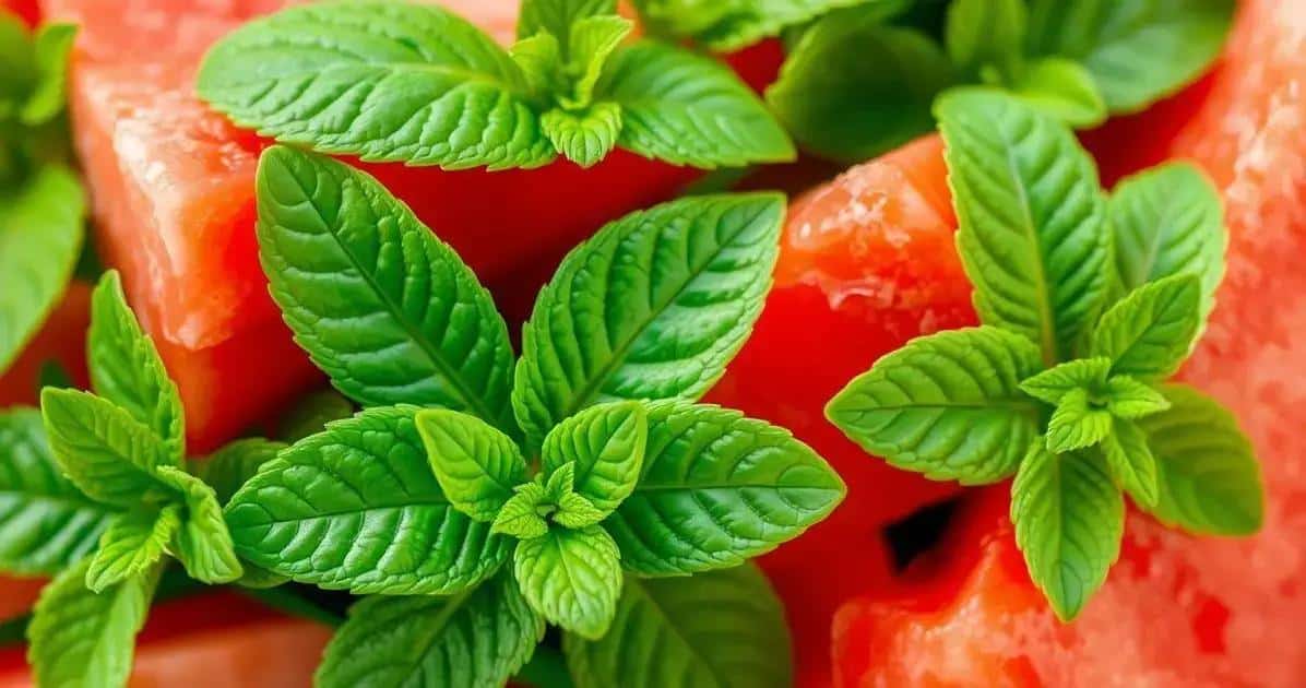 Curiosités sur la menthe et la pastèque