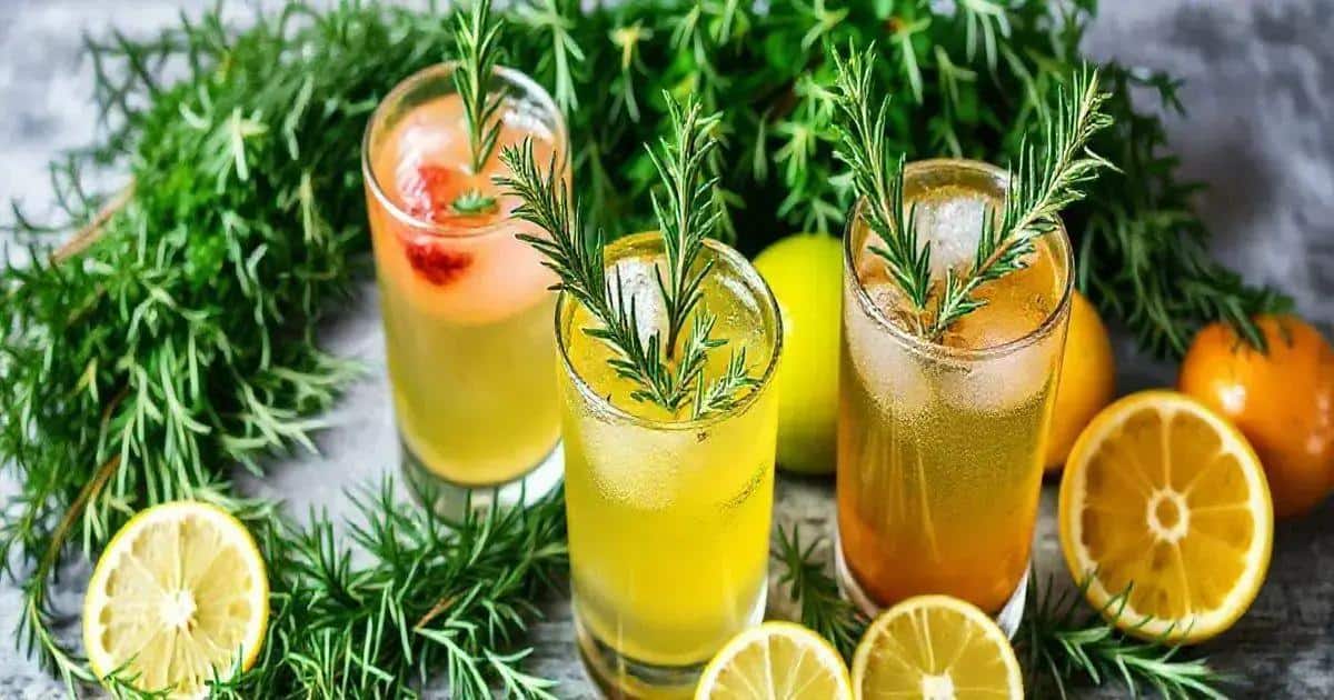 Les bienfaits du romarin dans les cocktails