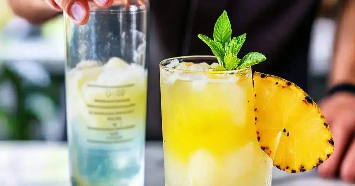 methode de preparation du gin avec jus dananas et noix de coco grillee 1 - Best Blog Brasil - Os Blogs mais Incríveis da Web