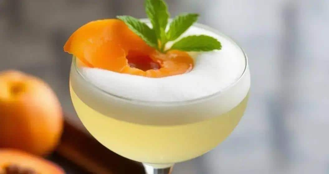 Perché scegliere la schiuma di zenzero? Perché scegliere la schiuma di zenzero?