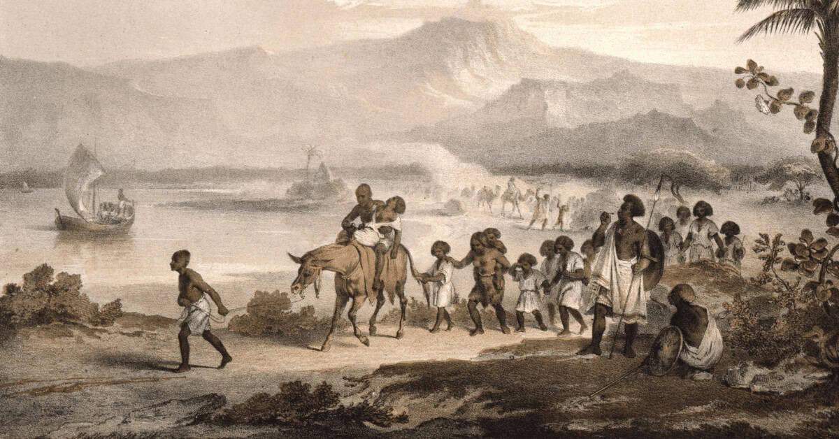Breve História da Cachaça tem um entrelaçamento forte com a História da Caipirinha