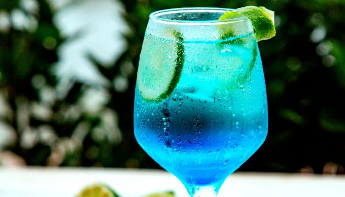 Bombay Sapphire Gin e Tônica um Drink dos Céus! Conheça esta Receita Exclusiva!