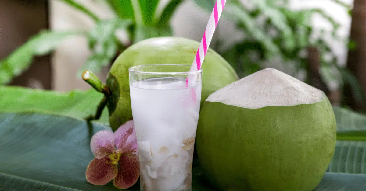 Drink com Água de Coco, Benefícios e 7 Deliciosas Receitas!